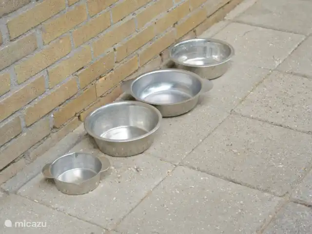 De voerbakken staan klaar